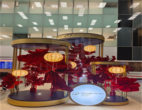 CNY DECO 2024 @ GLENEAGLES HOSPITAL JB